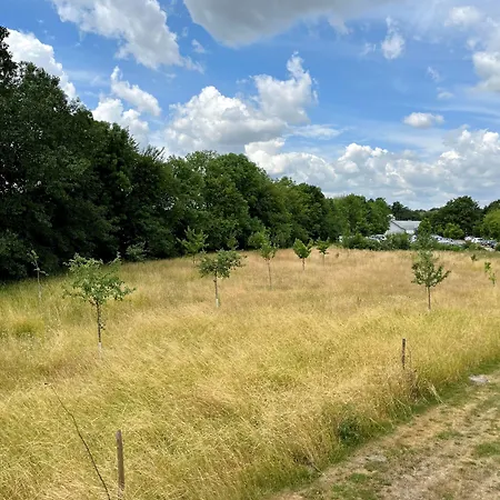 Kloster-quartier * Münster