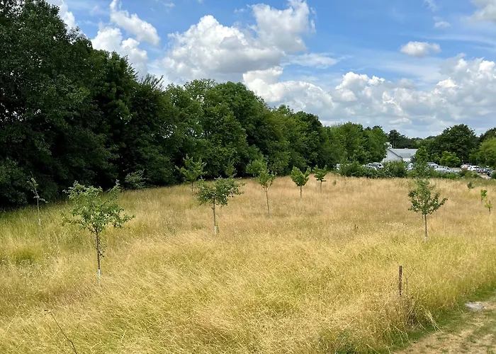 Kloster-quartier * Münster